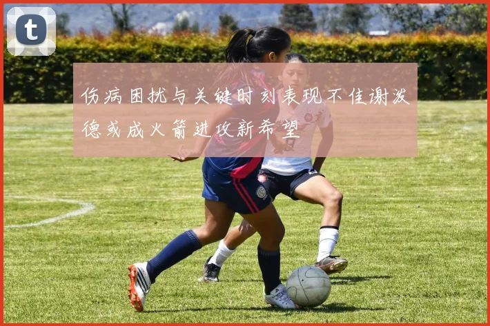 伤病困扰与关键时刻表现不佳谢泼德或成火箭进攻新希望