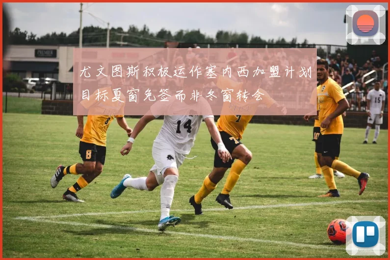 尤文图斯积极运作塞内西加盟计划目标夏窗免签而非冬窗转会