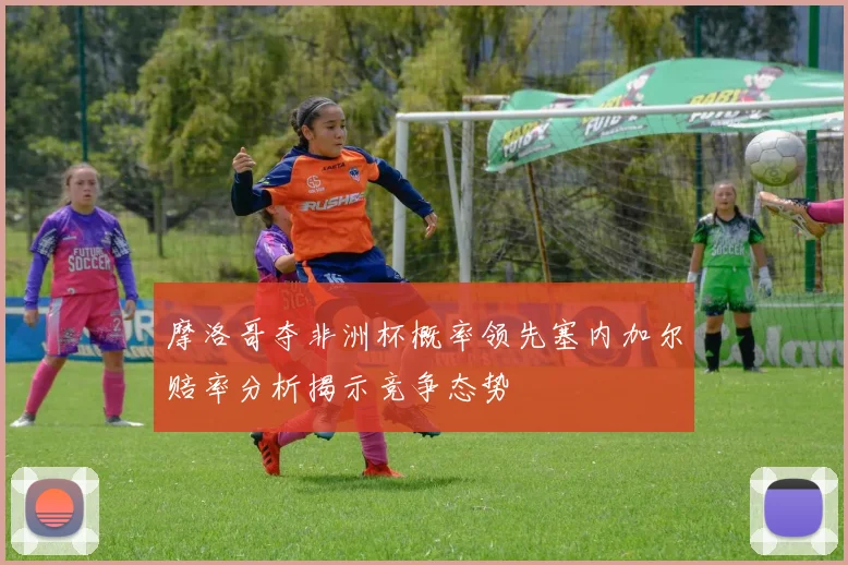摩洛哥夺非洲杯概率领先塞内加尔赔率分析揭示竞争态势