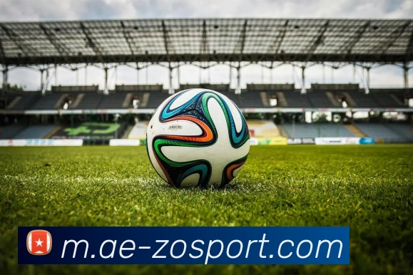 中欧足球官网平台生态图